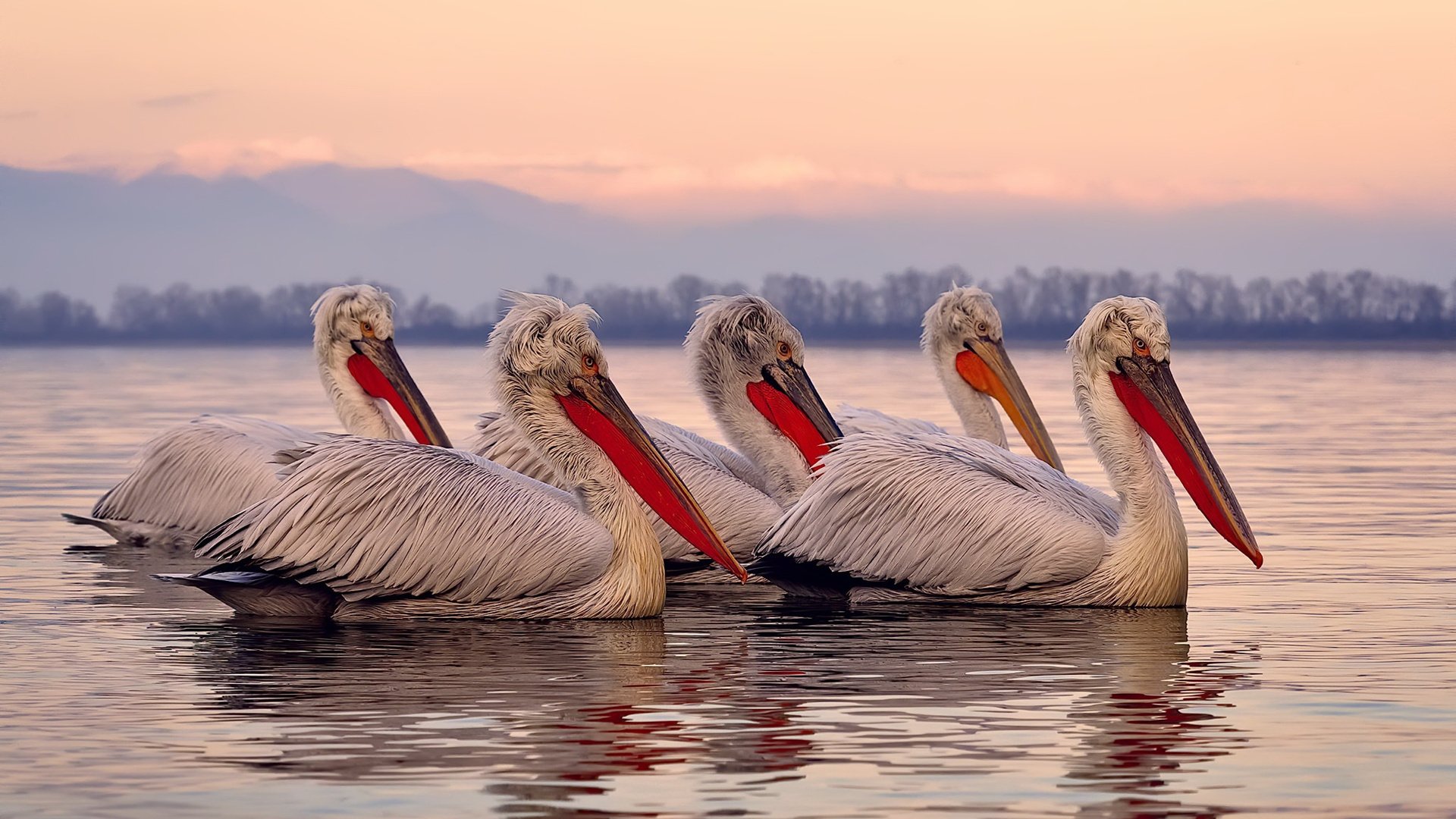 开云体育app官网-欧洲杯大戏：战术与技艺的完美结合，欧洲杯战术机位