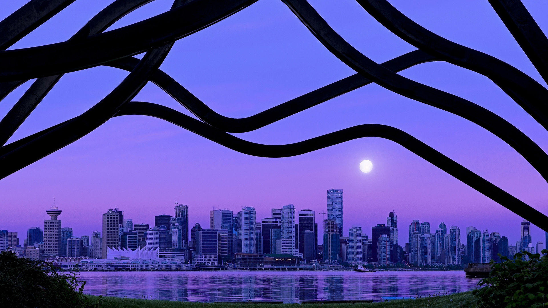 开云app-澳大利亚橄榄球赛事吸引全球观众，体育市场新机遇，澳大利亚橄榄球运动员