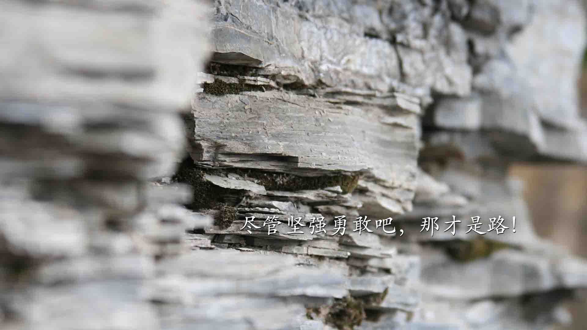 美洲杯最燃时刻:明星拼搏,激情激荡!,美洲杯经典比赛