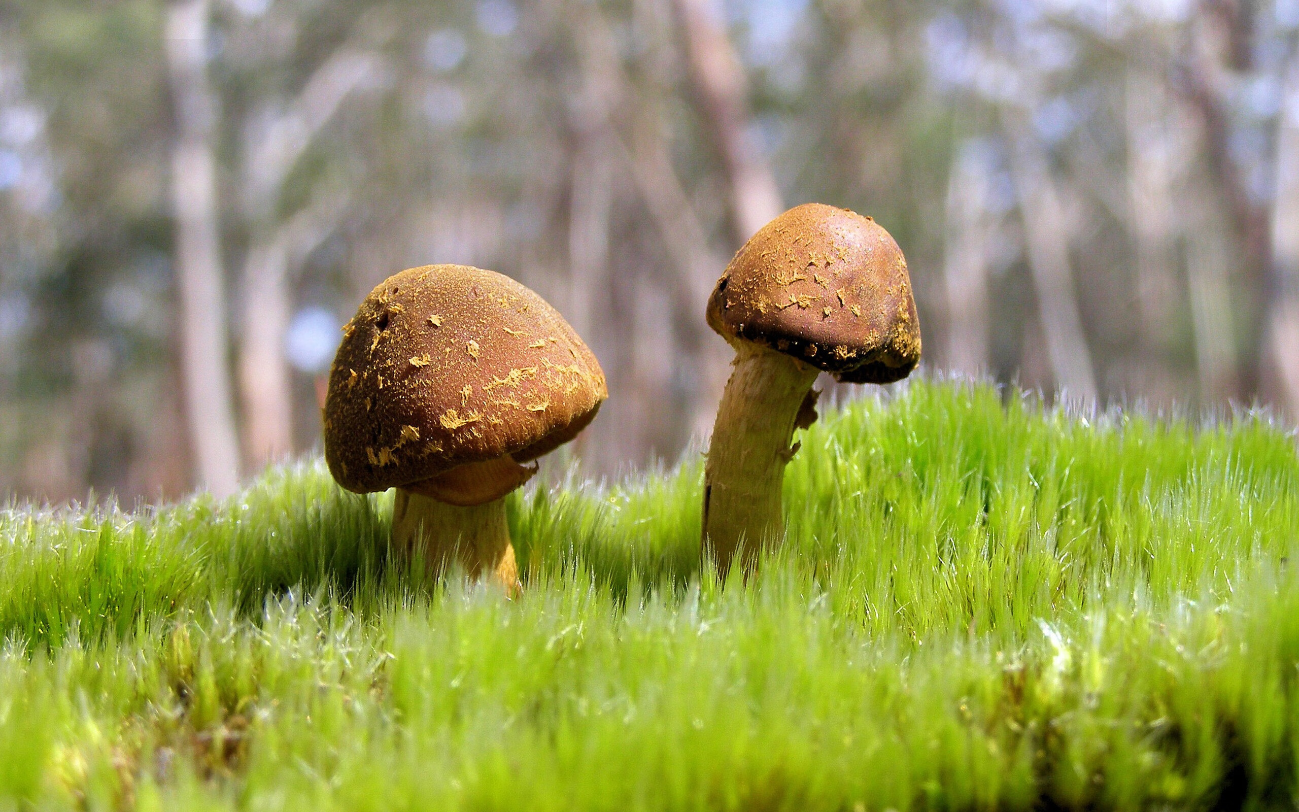 开云体育官网-诺埃·庞蒂赛后透露训练秘诀，庞蒂亚娜